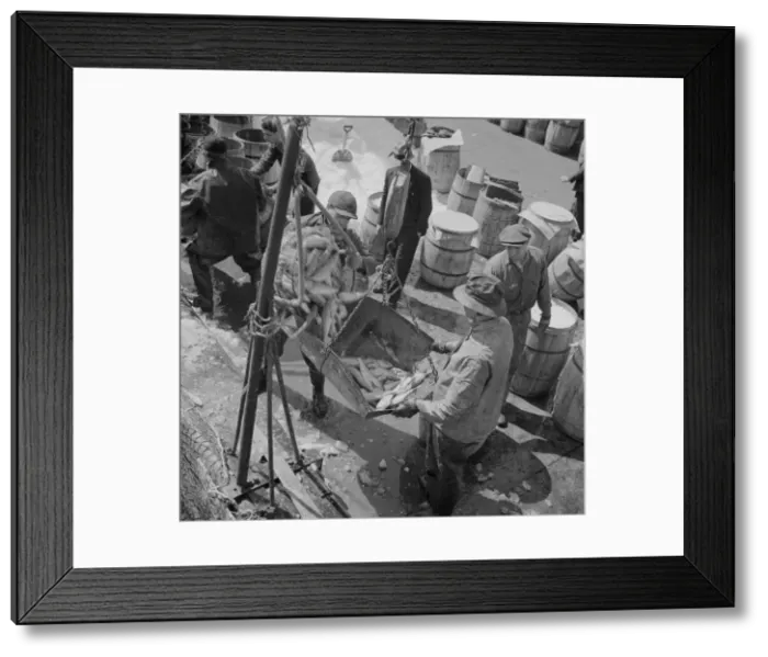 Framed Print : Fulton fish market stevedores unloading and weighing fish in the early morning, New York, 1943. Creator: Gordon Parks Framed Print : Fulton fish market stevedores unloading and weighing fish in the early morning, New York, 1943. Creator: Gordon Parks