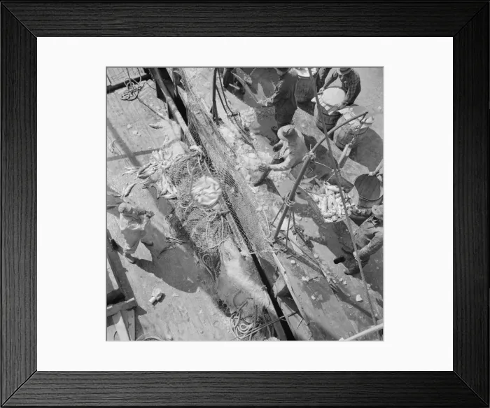 Framed Print : Fulton fish market dock stevedores unloading and weighing fish in the early morning, New York, 1943. Creator: Gordon Parks Framed Print : Fulton fish market dock stevedores unloading and weighing fish in the early morning, New York, 1943. Creator: Gordon Parks