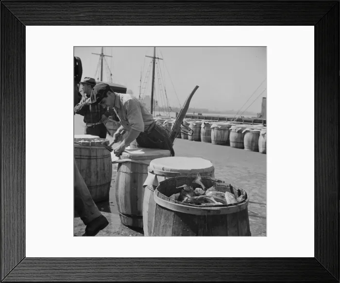 Framed Print : Packing fish in barrels at the Fulton fish market, New York, 1943. Creator: Gordon Parks Framed Print : Packing fish in barrels at the Fulton fish market, New York, 1943. Creator: Gordon Parks