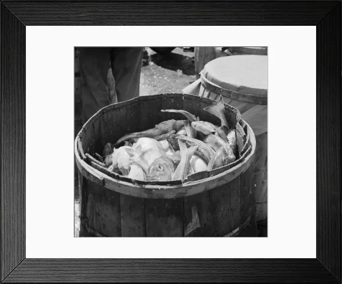 Framed Print : Barrels of codfish, New York, 1943. Creator: Gordon Parks Framed Print : Barrels of codfish, New York, 1943. Creator: Gordon Parks