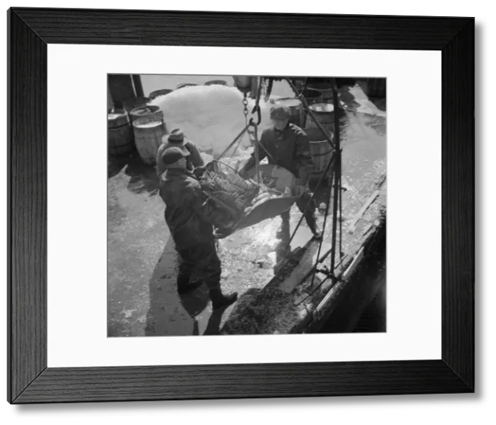 Framed Print : Fulton fish market dock stevedores unloading and weighing fish in the early morning, New York, 1943. Creator: Gordon Parks Framed Print : Fulton fish market dock stevedores unloading and weighing fish in the early morning, New York, 1943. Creator: Gordon Parks