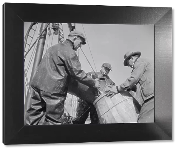 Filling a barrel with codfish at the Fulton fish market, New York, 1943. Creator: Gordon Parks