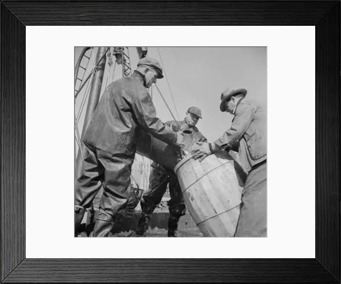 Framed Print : Filling a barrel with codfish at the Fulton fish market, New York, 1943. Creator: Gordon Parks Framed Print : Filling a barrel with codfish at the Fulton fish market, New York, 1943. Creator: Gordon Parks