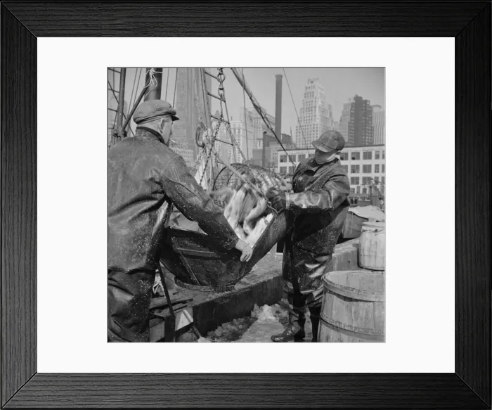 Framed Print : Possibly: Filling a barrel with codfish at the Fulton fish market, New York, 1943. Creator: Gordon Parks Framed Print : Possibly: Filling a barrel with codfish at the Fulton fish market, New York, 1943. Creator: Gordon Parks
