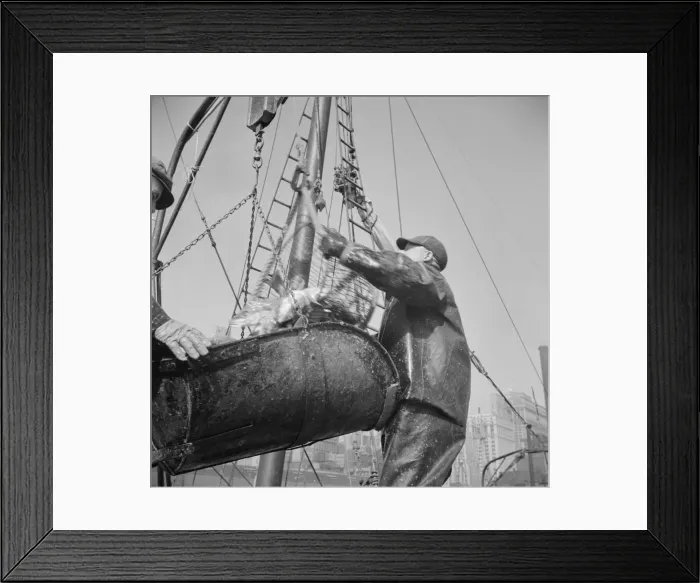 Framed Print : Possibly: Filling a barrel with codfish at the Fulton fish market, New York, 1943. Creator: Gordon Parks Framed Print : Possibly: Filling a barrel with codfish at the Fulton fish market, New York, 1943. Creator: Gordon Parks