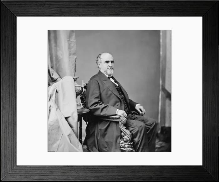 Framed Print : Senator David Trotter Patterson of Tennessee, 1860-1875. Creator: Unknown Framed Print : Senator David Trotter Patterson of Tennessee, 1860-1875. Creator: Unknown