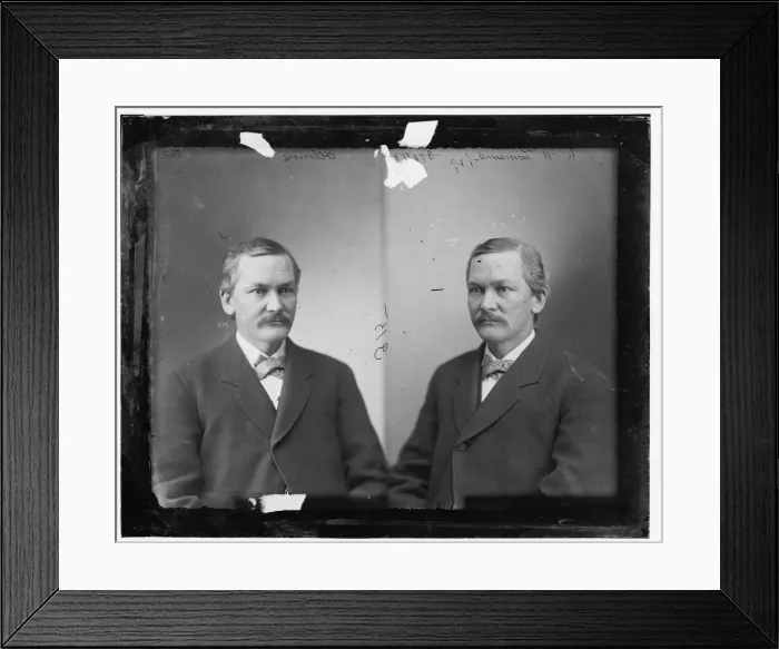 Framed Print : Richard W. Townshend of Illinois, 1865-1880. Creator: Unknown Framed Print : Richard W. Townshend of Illinois, 1865-1880. Creator: Unknown