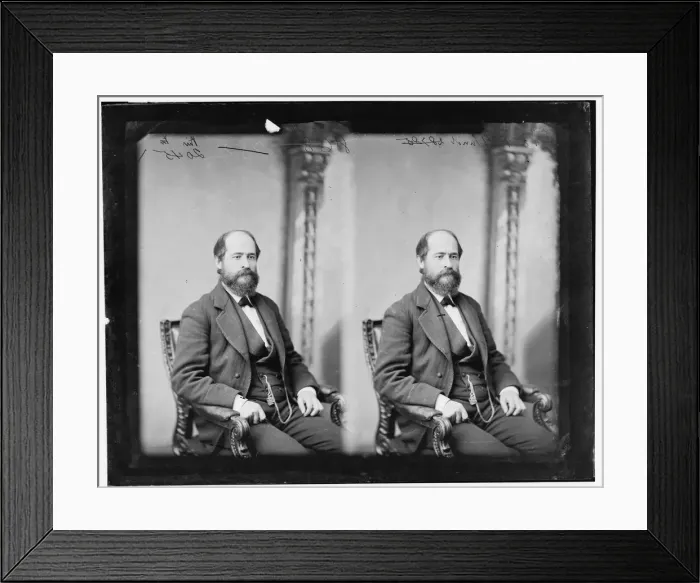 Framed Print : Richard P. Bland of Missouri, 1865-1880. Creator: Unknown Framed Print : Richard P. Bland of Missouri, 1865-1880. Creator: Unknown