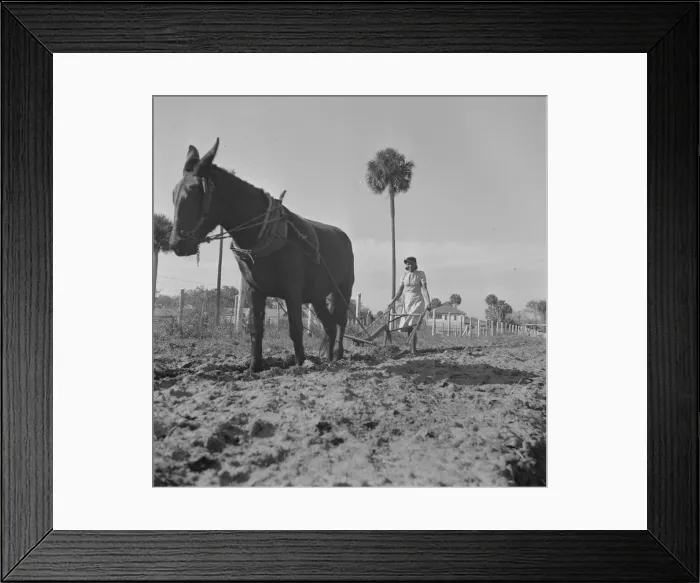 Framed Print : Possibly: Bethune-Cookman College, Daytona Beach, Florida, 1943. Creator: Gordon Parks Framed Print : Possibly: Bethune-Cookman College, Daytona Beach, Florida, 1943. Creator: Gordon Parks