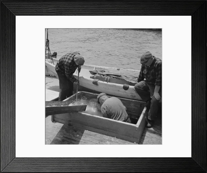 Framed Print : Icing the hold of a ship at the Fulton fish market, New York, 1943. Creator: Gordon Parks Framed Print : Icing the hold of a ship at the Fulton fish market, New York, 1943. Creator: Gordon Parks