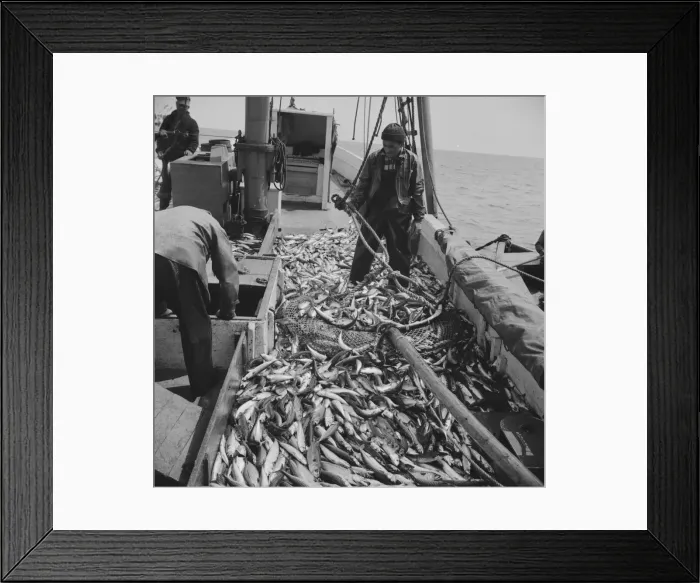 Framed Print : On board the fishing boat Alden, out of Gloucester, Massachusetts, 1943. Creator: Gordon Parks Framed Print : On board the fishing boat Alden, out of Gloucester, Massachusetts, 1943. Creator: Gordon Parks