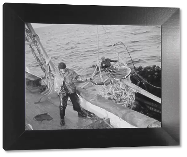 Franasco Parisi, youngest member of the Aldens crew, motioning for the skipper to hoist 1943. Creator: Gordon Parks