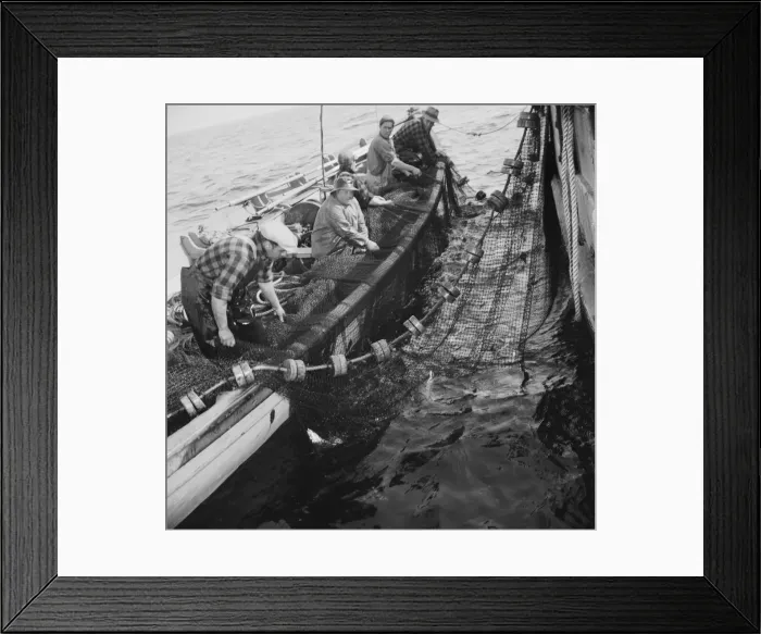 Framed Print : Possibly: Gloucester fishermen pulling in their nets to bring... Gloucester, Massachusetts, 1943. Creator: Gordon Parks Framed Print : Possibly: Gloucester fishermen pulling in their nets to bring... Gloucester, Massachusetts, 1943. Creator: Gordon Parks