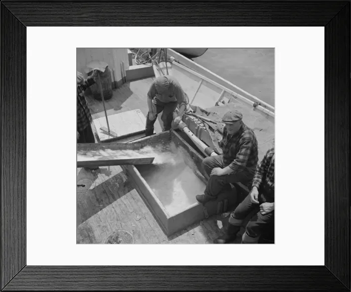 Framed Print : Icing the hold of a ship at the Fulton fish market, New York, 1943. Creator: Gordon Parks Framed Print : Icing the hold of a ship at the Fulton fish market, New York, 1943. Creator: Gordon Parks