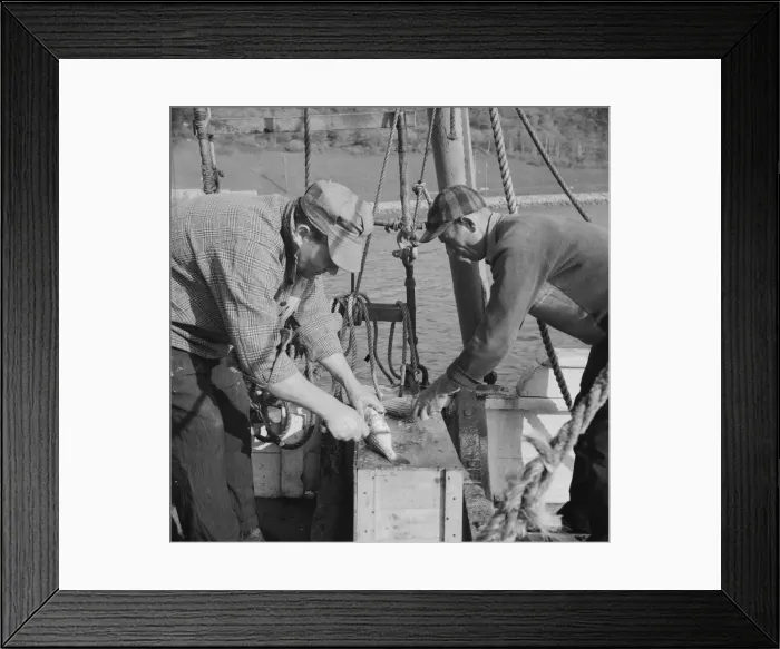 Framed Print : On board the fishing boat Alden, out of Glocester, Massachusetts, 1943. Creator: Gordon Parks Framed Print : On board the fishing boat Alden, out of Glocester, Massachusetts, 1943. Creator: Gordon Parks