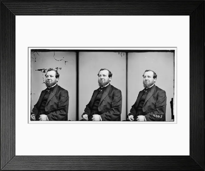 Framed Print : Gunther, Chas. Godfrey, Mayor of N. Y. in 1863, ca. 1860-1865. Creator: Unknown Framed Print : Gunther, Chas. Godfrey, Mayor of N. Y. in 1863, ca. 1860-1865. Creator: Unknown