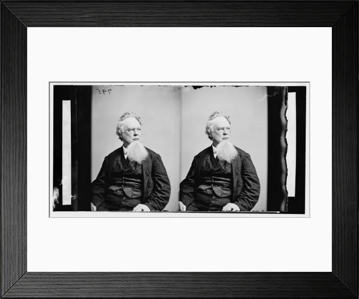Framed Print : Sims i. e. Simms, Wm. Gilmore Sims? i. e. Simms(Poet), ca. 1860-1865. Creator: Unknown Framed Print : Sims i. e. Simms, Wm. Gilmore Sims? i. e. Simms(Poet), ca. 1860-1865. Creator: Unknown