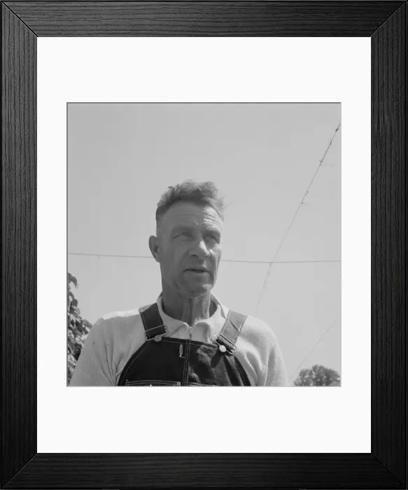 Framed Print : Hop picker, once Nebraska farm owner, near Independence, Polk County, Oregon, 1939. Creator: Dorothea Lange Framed Print : Hop picker, once Nebraska farm owner, near Independence, Polk County, Oregon, 1939. Creator: Dorothea Lange