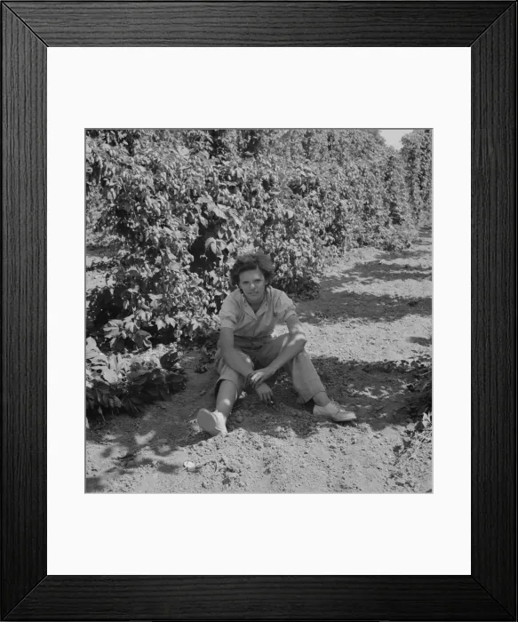 Framed Print : Possibly: Wife of an ex-logger, now a migrat... Independence (vicinity), Polk County, Oregon, 1939. Creator: Dorothea Lange Framed Print : Possibly: Wife of an ex-logger, now a migrat... Independence (vicinity), Polk County, Oregon, 1939. Creator: Dorothea Lange