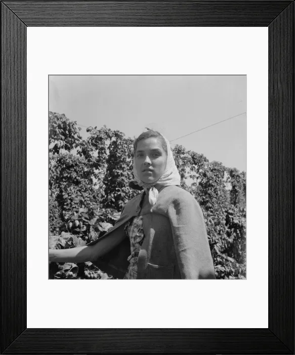 Framed Print : Head of young woman, migratory hop picker, near Independence, Polk County, Oregon, 1939. Creator: Dorothea Lange Framed Print : Head of young woman, migratory hop picker, near Independence, Polk County, Oregon, 1939. Creator: Dorothea Lange