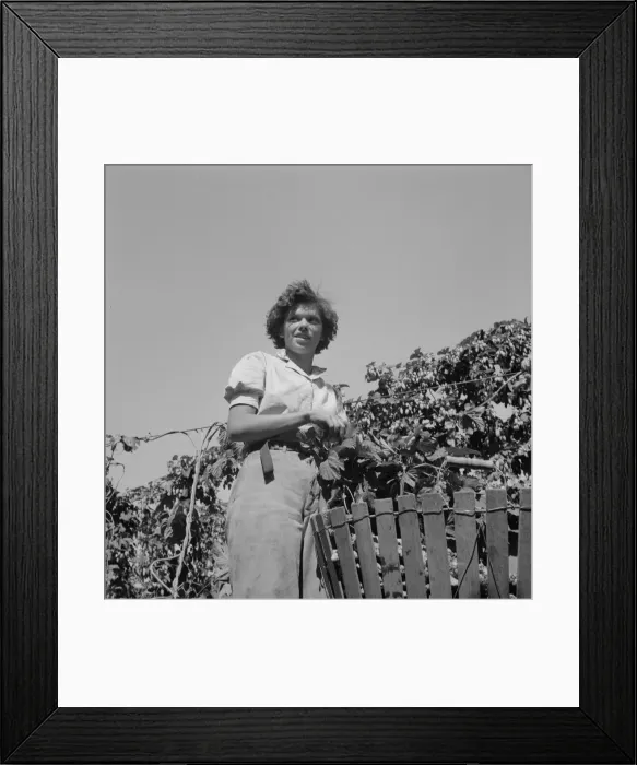 Framed Print : Possibly: Wife of an ex-logger, now a migrat... Independence (vicinity), Polk County, Oregon, 1939. Creator: Dorothea Lange