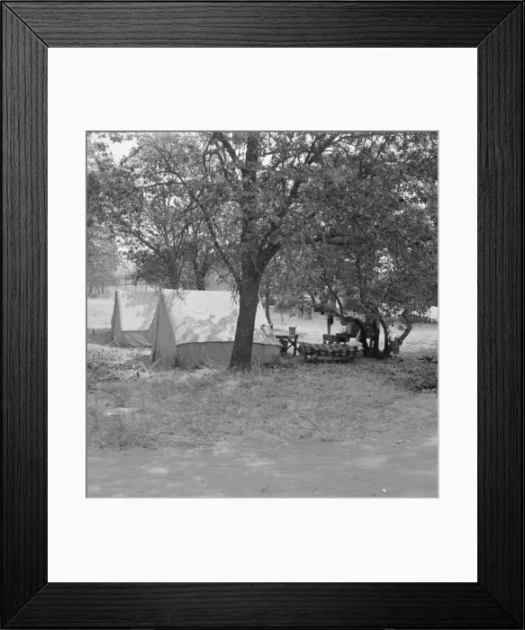Framed Print : The grower provided clean tents and a shady... near Grants Pass, Josephine County, Oregon, 1939. Creator: Dorothea Lange Framed Print : The grower provided clean tents and a shady... near Grants Pass, Josephine County, Oregon, 1939. Creator: Dorothea Lange