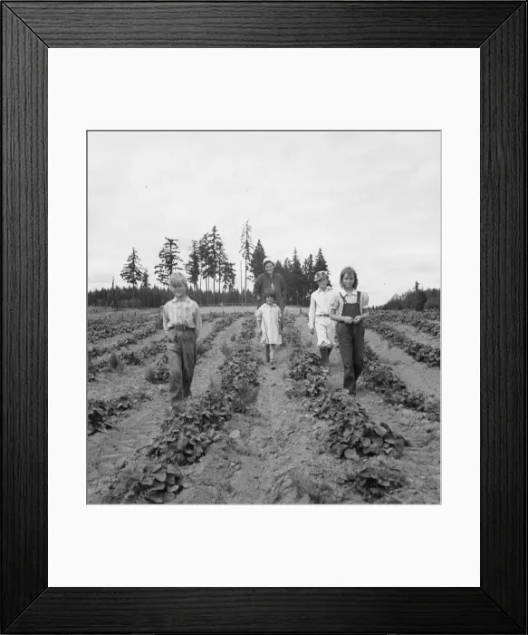 Framed Print : Possibly: The Arnold children and mother on their newly... Michigan Hill, Thurston County, 1939. Creator: Dorothea Lange Framed Print : Possibly: The Arnold children and mother on their newly... Michigan Hill, Thurston County, 1939. Creator: Dorothea Lange