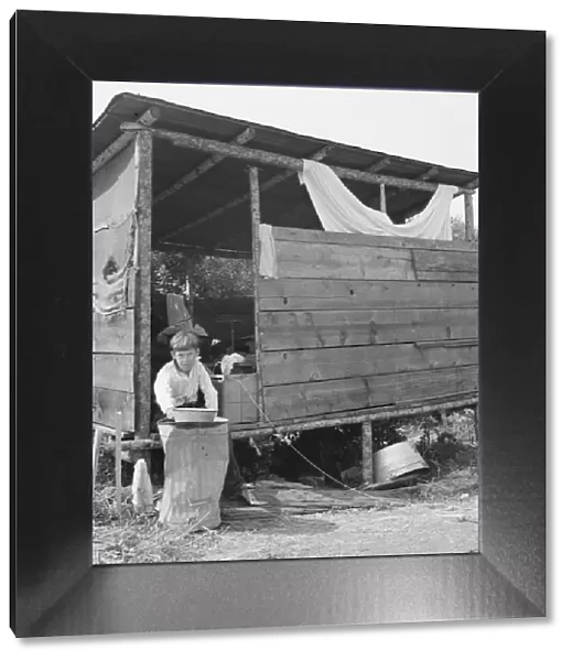 Grower provides fourteen such shacks in a row... near Grants Pass, Josephine County, Oregon, 1939. Creator: Dorothea Lange