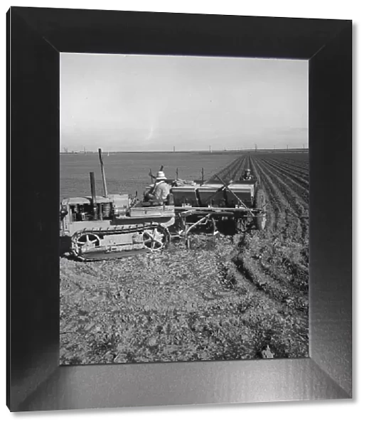 Large-scale, mechanized farming - potato planter, Kern County, California, 1939. Creator: Dorothea Lange