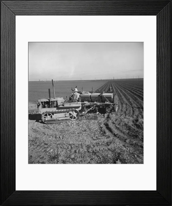 Framed Print : Large-scale, mechanized farming - potato planter, Kern County, California, 1939. Creator: Dorothea Lange Framed Print : Large-scale, mechanized farming - potato planter, Kern County, California, 1939. Creator: Dorothea Lange