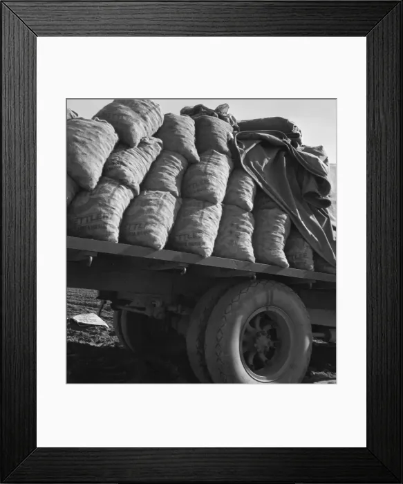 Framed Print : Truck loaded with potato seed, Kern County, California, 1939. Creator: Dorothea Lange Framed Print : Truck loaded with potato seed, Kern County, California, 1939. Creator: Dorothea Lange