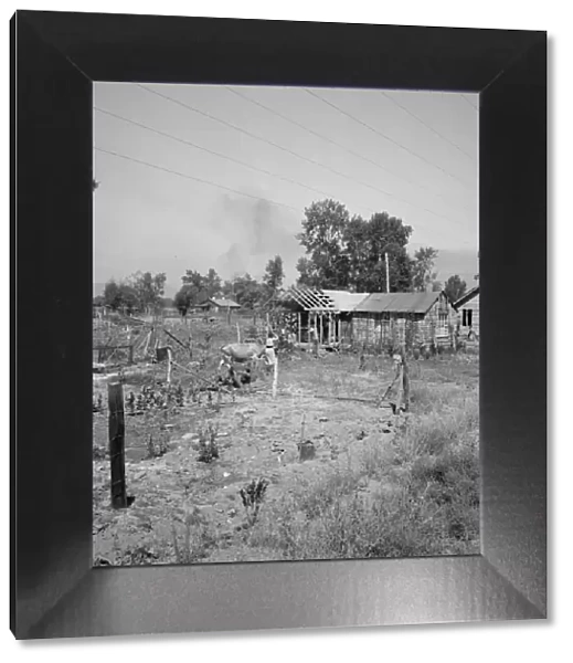 Home, self-built in two years, bit by bit, Yakima, Washington, 1939. Creator: Dorothea Lange