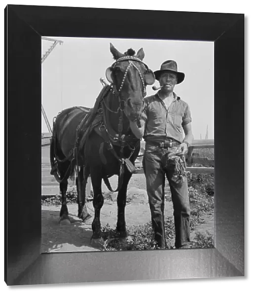 Hired man on the Myers farm, near Outlook, Yakima County, Washington, 1939. Creator: Dorothea Lange