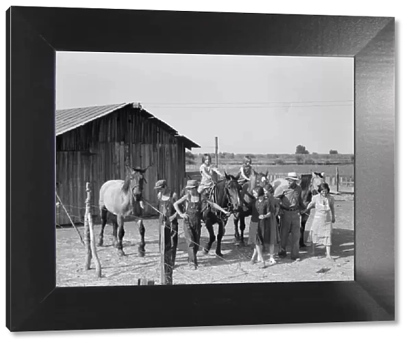 Chris Adolf, his team, and... children on their new farm, Washington, Yakima Valley, 1939. Creator: Dorothea Lange