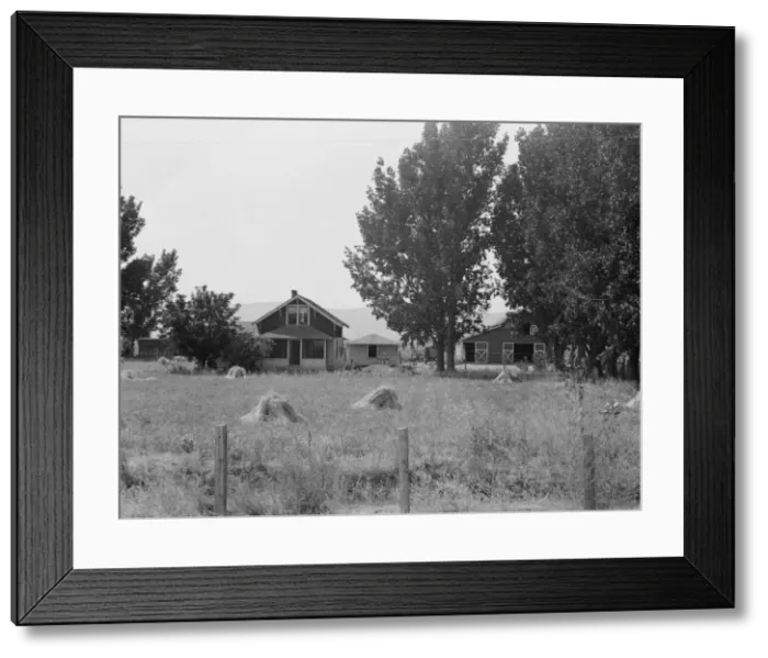 Framed Print : Another view of E. Houstons farm, Washington, Yakima County, west of Toppenish, 1939. Creator: Dorothea Lange Framed Print : Another view of E. Houstons farm, Washington, Yakima County, west of Toppenish, 1939. Creator: Dorothea Lange