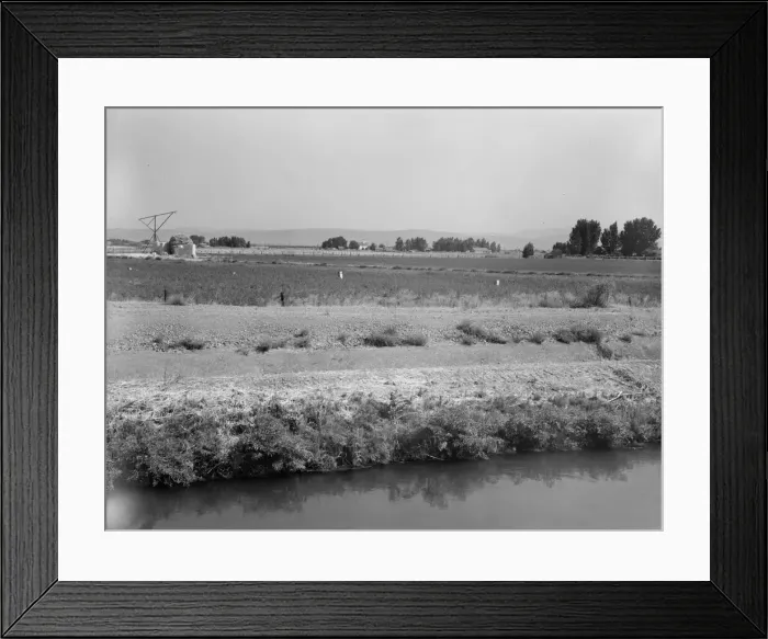 Framed Print : Washington, Yakima Valley, near Wapato, 1939. Creator: Dorothea Lange Framed Print : Washington, Yakima Valley, near Wapato, 1939. Creator: Dorothea Lange
