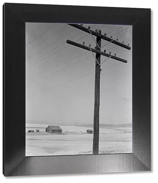Abandoned farm in wheat country, on U. S. 97, Klickitat County, near Goldendale, Washington, 1939. Creator: Dorothea Lange