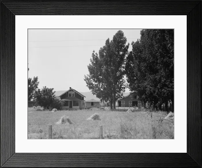 Framed Print : On tenant purchase program (FSA), west of Toppenish, Yakima County, Washington, 1939. Creator: Dorothea Lange Framed Print : On tenant purchase program (FSA), west of Toppenish, Yakima County, Washington, 1939. Creator: Dorothea Lange