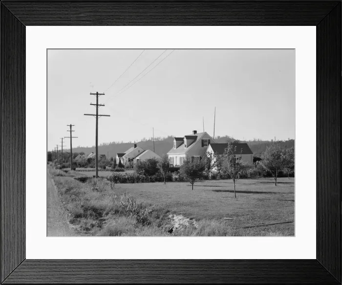 Framed Print : Down one street on Longview homestead project, Cowlitz County, Washington, 1939. Creator: Dorothea Lange Framed Print : Down one street on Longview homestead project, Cowlitz County, Washington, 1939. Creator: Dorothea Lange