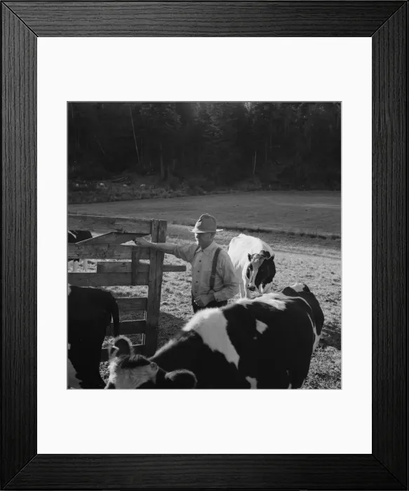 Framed Print : Possibly: Farmer brings his team up from... near Centralia, Lewis County, Western Washington, 1939. Creator: Dorothea Lange Framed Print : Possibly: Farmer brings his team up from... near Centralia, Lewis County, Western Washington, 1939. Creator: Dorothea Lange
