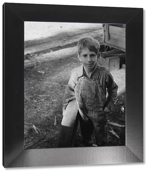Bean pickers child, near West Stayton, Marion County, Oregon, 1939. Creator: Dorothea Lange
