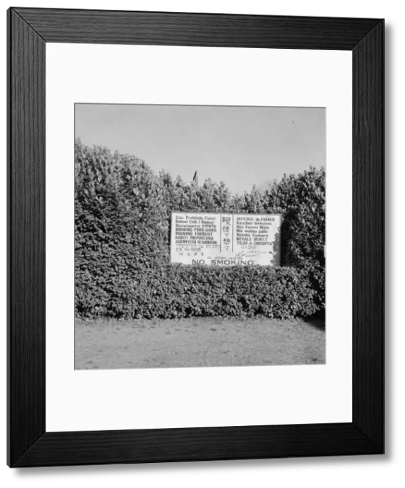 Framed Print : Sign outside entrance of largest lumber mill in the world, Longview, Washington, 1939. Creator: Dorothea Lange Framed Print : Sign outside entrance of largest lumber mill in the world, Longview, Washington, 1939. Creator: Dorothea Lange