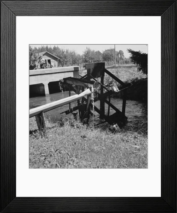 Framed Print : Possibly: Waterwheel for field irrigation... north of West Stayton, Marion County, Oregon, 1939. Creator: Dorothea Lange Framed Print : Possibly: Waterwheel for field irrigation... north of West Stayton, Marion County, Oregon, 1939. Creator: Dorothea Lange