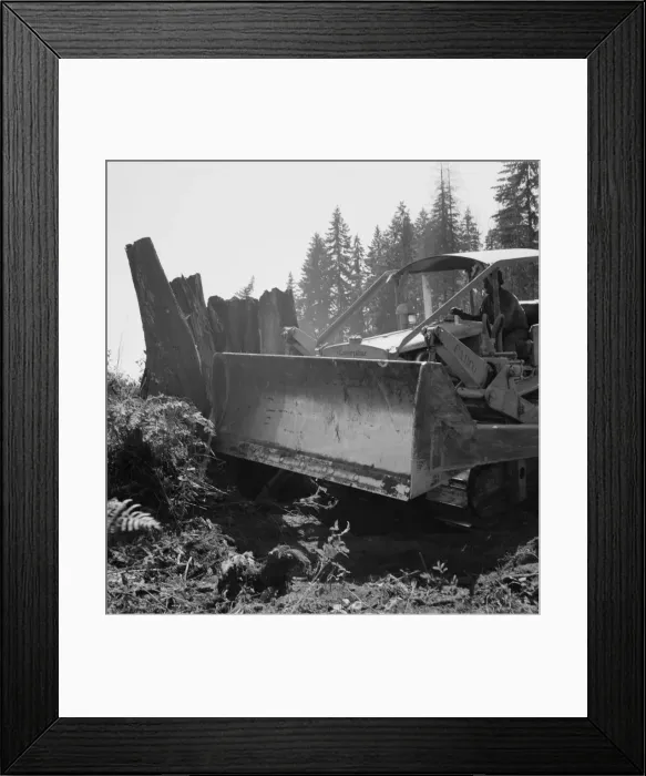Framed Print : Possibly: Bulldozer... Nieman farm, near Vader, Lewis County, Western Washington, 1939. Creator: Dorothea Lange Framed Print : Possibly: Bulldozer... Nieman farm, near Vader, Lewis County, Western Washington, 1939. Creator: Dorothea Lange