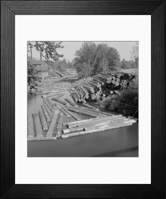Framed Print : Possibly: Small sawmill on the Marys River near Corvallis, Oregon, 1939. Creator: Dorothea Lange Framed Print : Possibly: Small sawmill on the Marys River near Corvallis, Oregon, 1939. Creator: Dorothea Lange