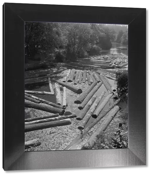 Logs at sawmill on Marys River near Corvallis, Oregon, 1939. Creator: Dorothea Lange