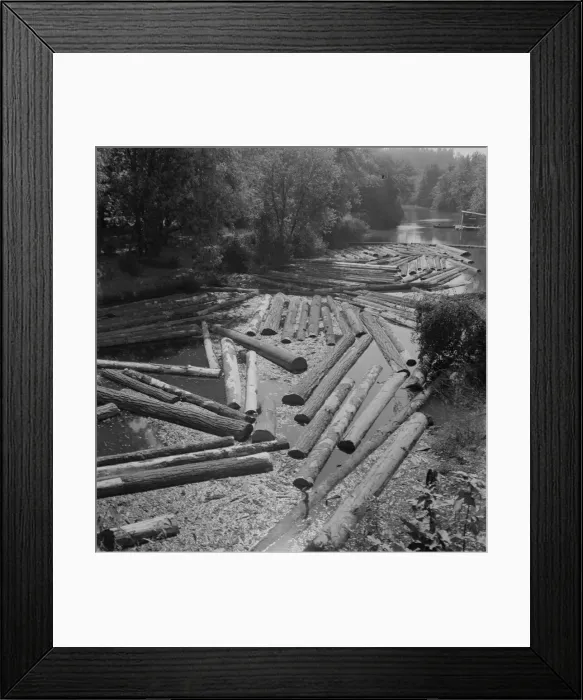 Framed Print : Logs at sawmill on Marys River near Corvallis, Oregon, 1939. Creator: Dorothea Lange Framed Print : Logs at sawmill on Marys River near Corvallis, Oregon, 1939. Creator: Dorothea Lange