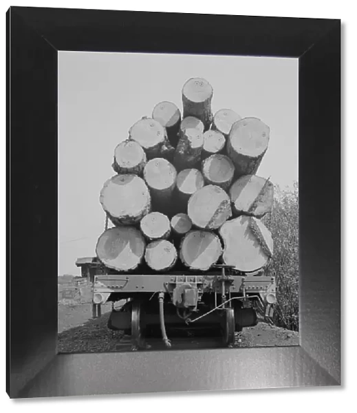 Possibly: Pelican Bay Lumber Company, near Klamath Falls, Klamath County, Oregon, 1939. Creator: Dorothea Lange
