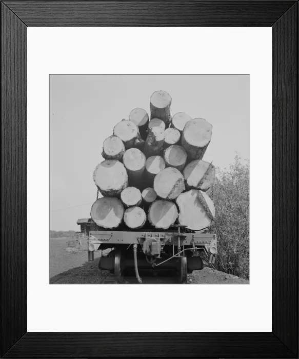 Framed Print : Possibly: Pelican Bay Lumber Company, near Klamath Falls, Klamath County, Oregon, 1939. Creator: Dorothea Lange Framed Print : Possibly: Pelican Bay Lumber Company, near Klamath Falls, Klamath County, Oregon, 1939. Creator: Dorothea Lange