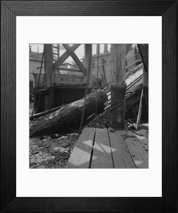 Framed Print : At Pelican Bay Lumber mill logs enter... near Klamath Falls, Klamath County, Oregon, 1939 Creator: Dorothea Lange Framed Print : At Pelican Bay Lumber mill logs enter... near Klamath Falls, Klamath County, Oregon, 1939 Creator: Dorothea Lange